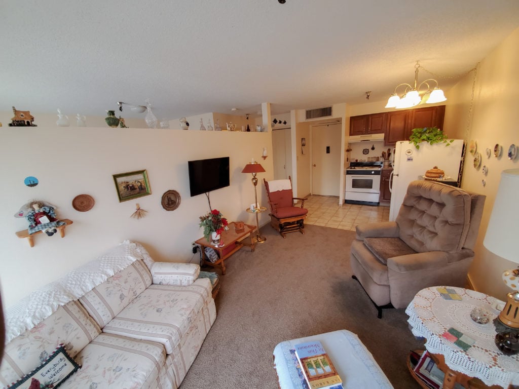 living room and kitchen